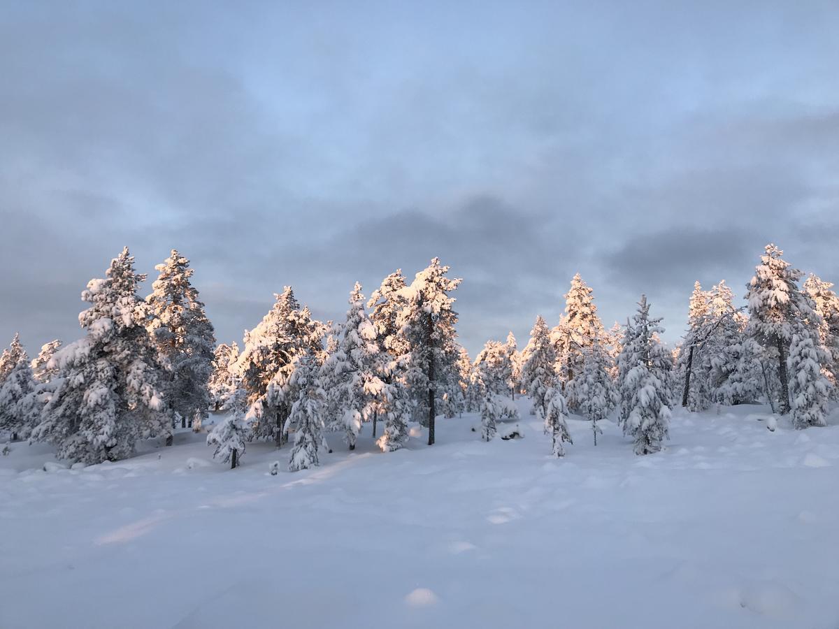 Sampo Studios Rovaniemi Esterno foto