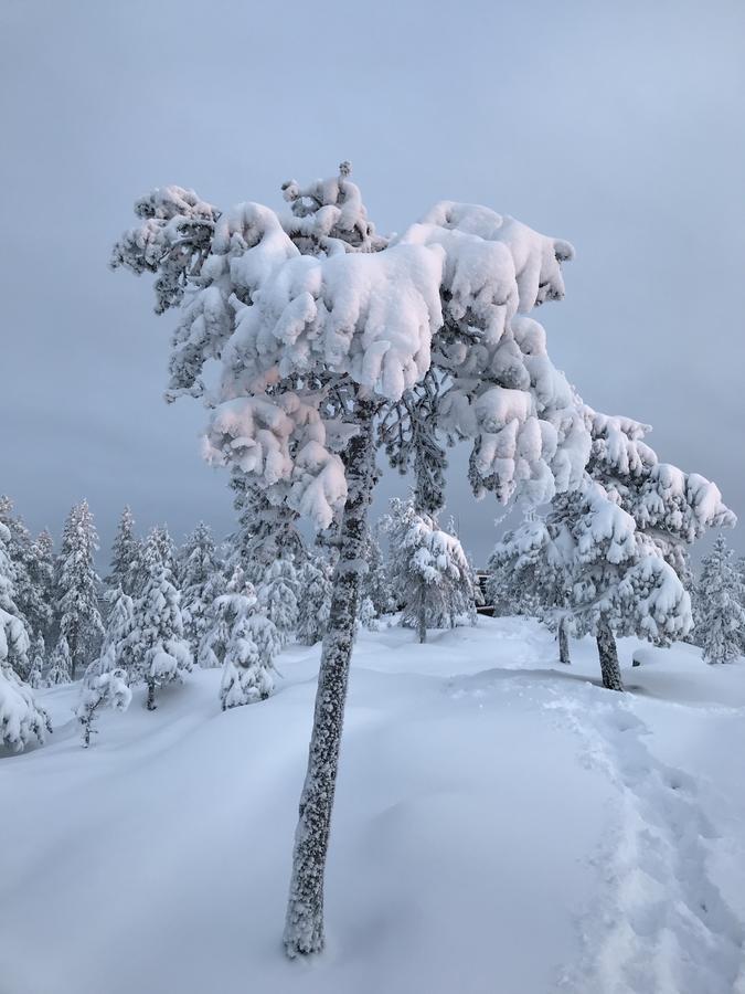 Sampo Studios Rovaniemi Esterno foto