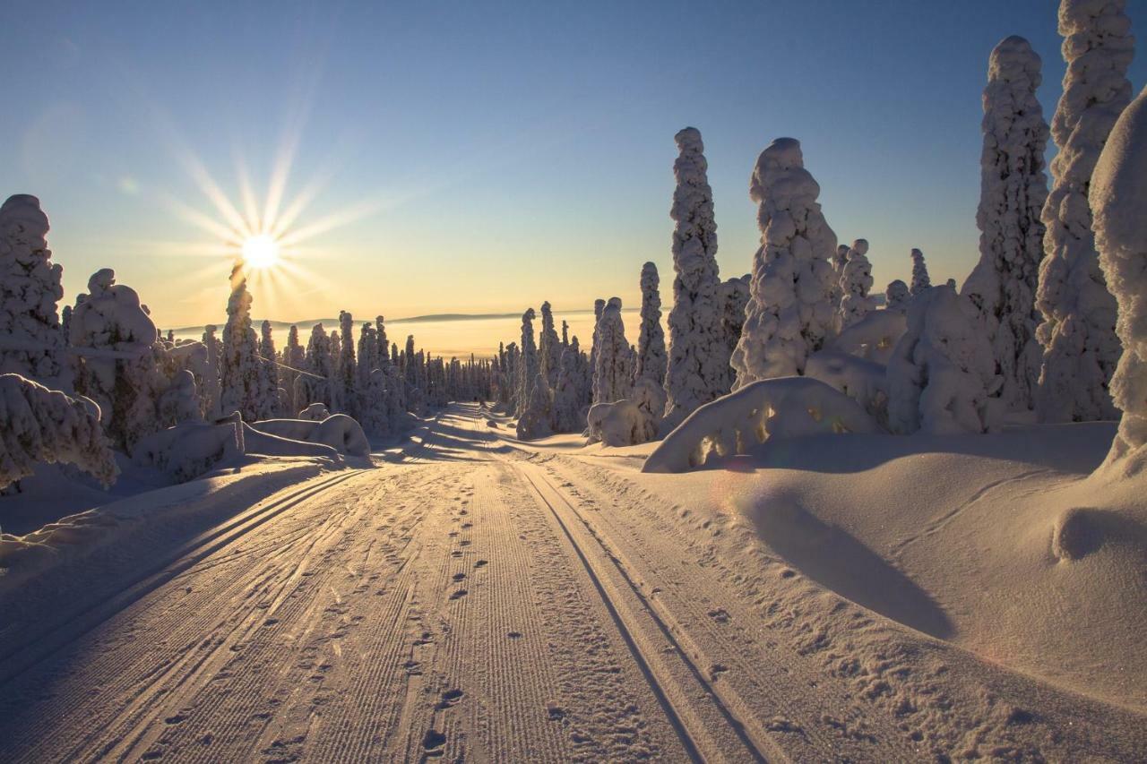 Sampo Studios Rovaniemi Esterno foto